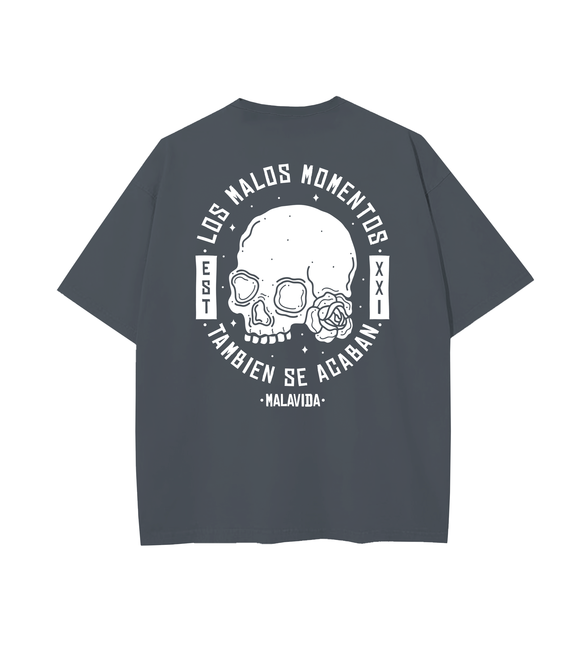 MALOS MOMENTOS HEAVYWEIGHT TEE - GRIS