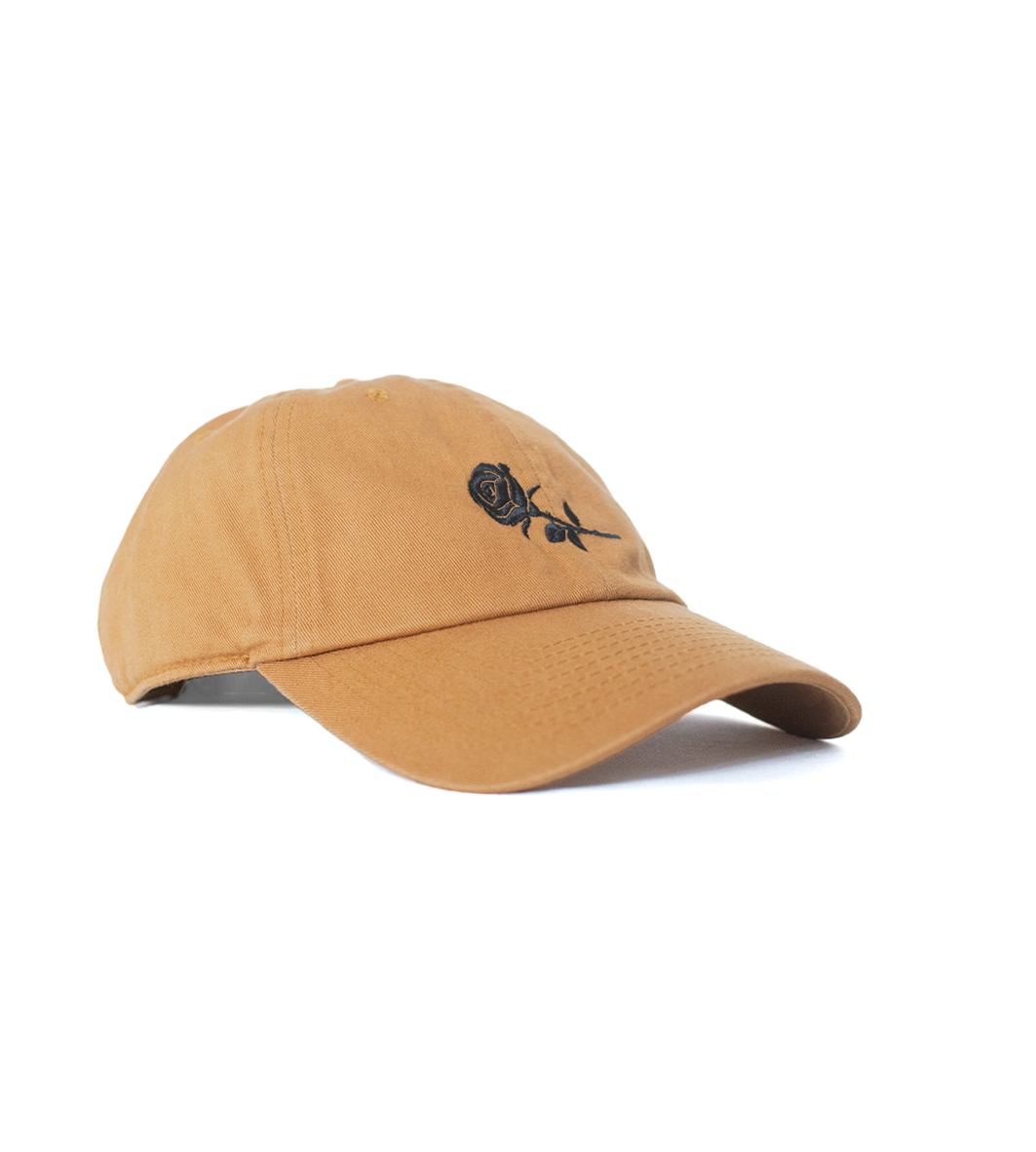 BASIC ROSE DAD HAT - CAFÉ CLARO